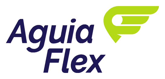 Logotipo Águia Flex